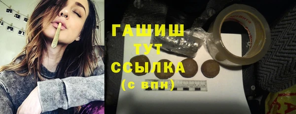 гидра Горняк
