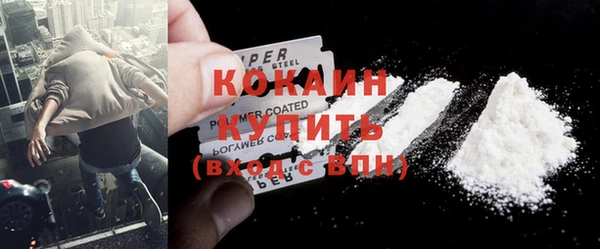 гидра Горняк