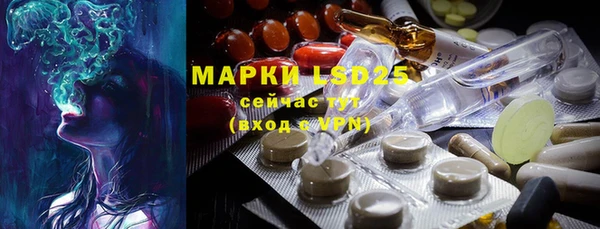 ГАЛЛЮЦИНОГЕННЫЕ ГРИБЫ Белоозёрский