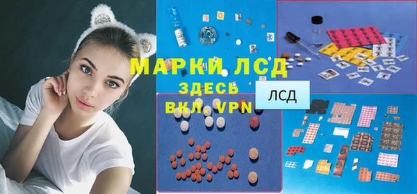 ГАЛЛЮЦИНОГЕННЫЕ ГРИБЫ Белоозёрский