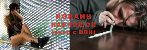 гидра Горняк