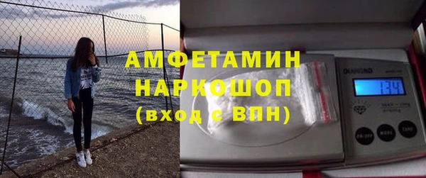 гидра Горняк